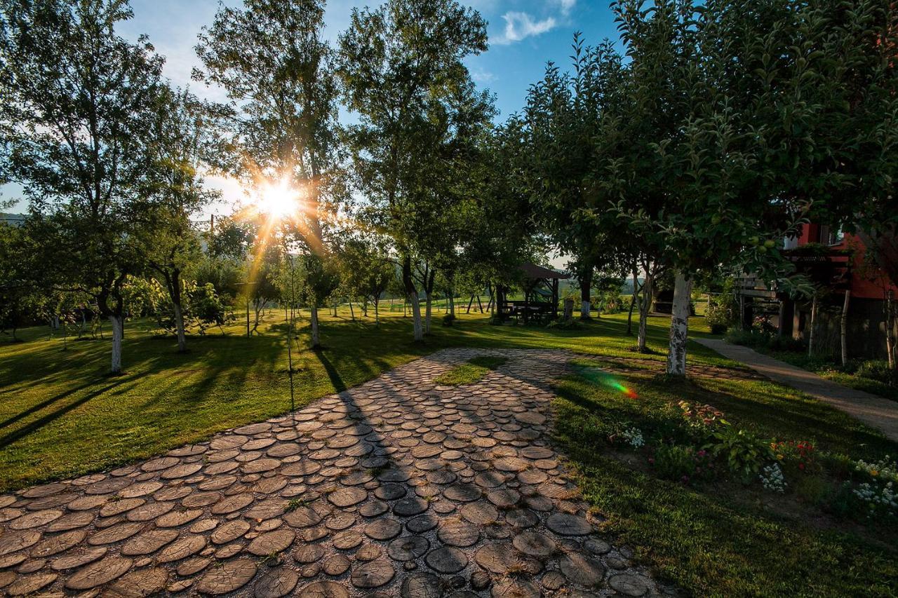 Filip Apartment Rakovica Buitenkant foto
