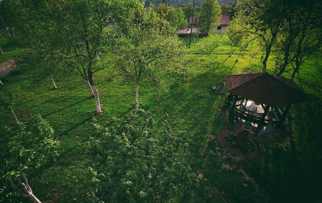 Filip Apartment Rakovica Buitenkant foto